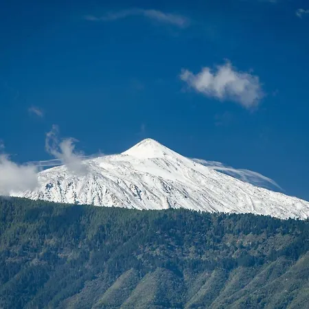 Lejlighed Serene Hideaway In The Heart Of Vibrant Cruz Santa Cruz de Tenerife